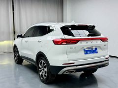 Haval H6 National Trend Edition 1.5T Automatic Champion Version - ფოტო 18