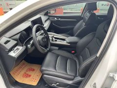 Geely Xingrui 2.0T Diesel Luxury - ფოტო 4