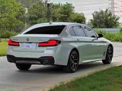 BMW 5 Series 530Li Luxury M Sport Package - ფოტო 9