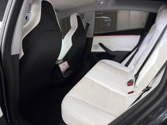 Tesla Model 3 High Performance All-Wheel Drive - ფოტო 10