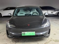 Tesla Model 3 High Performance All-Wheel Drive - ფოტო 2
