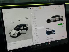 Tesla Model 3 High Performance All-Wheel Drive - ფოტო 6