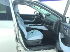 Nissan Qashqai e-POWER Hybrid Dual Motor AWD Premium Edition - ფოტო 8