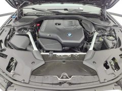 BMW 5 Series Facelift 530Li Premier M Sport Package - ფოტო 10