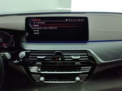 BMW 5 Series Facelift 530Li Premier M Sport Package - ფოტო 13