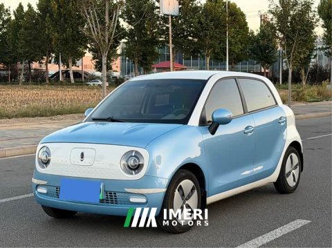 2021 ORA Black Cat 301km Cute Pet Edition - ავტომობილი ჩინეთიდან