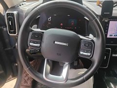 Great Wall Dachshund 1.5T DCT Two-Wheel Drive Border Collie Edition - ფოტო 15