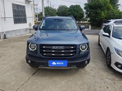 Great Wall Dachshund 1.5T DCT Two-Wheel Drive Border Collie Edition - ფოტო 2