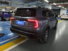 Great Wall Dachshund 1.5T DCT Two-Wheel Drive Border Collie Edition - ფოტო 3