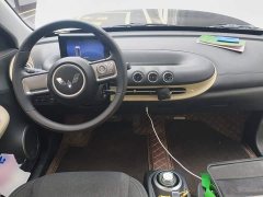 Wuling Binguo 2024 203km Light Enjoy Edition - ფოტო 10
