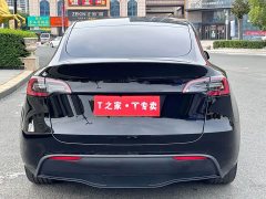 Tesla Model Y Rear-Wheel Drive - ფოტო 10
