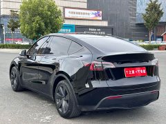Tesla Model Y Rear-Wheel Drive - ფოტო 11