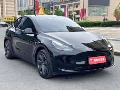 Tesla Model Y Rear-Wheel Drive - ფოტო 2