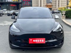 Tesla Model Y Rear-Wheel Drive - ფოტო 3