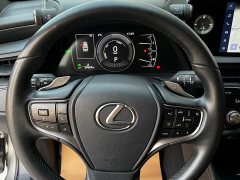 Lexus ES 300h Edition - ფოტო 19