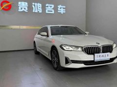 BMW 5 Series 530Li Premier Luxury Package - ფოტო 3