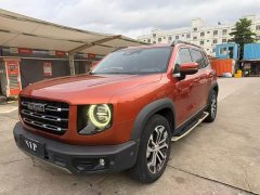 Great Wall Dachshund 1.5T DCT Two-Wheel Drive Border Collie Edition - ფოტო 1