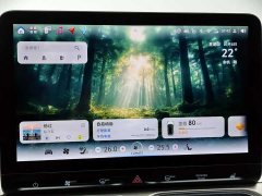 smart #1 2026 Dynamic Luxury Edition - ფოტო 15