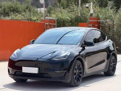 Tesla Model Y Long Range All-Wheel Drive - ფოტო 1