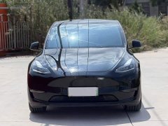 Tesla Model Y Long Range All-Wheel Drive - ფოტო 2