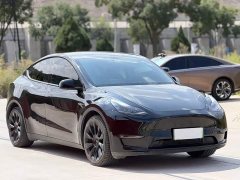 Tesla Model Y Long Range All-Wheel Drive - ფოტო 3