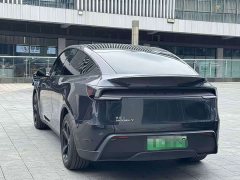 Tesla Model Y Rear-Wheel Drive - ფოტო 8