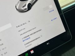 Tesla Model 3 Rear-Wheel Drive - ფოტო 10