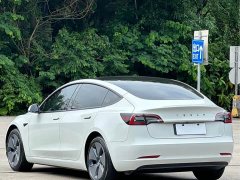 Tesla Model 3 Rear-Wheel Drive - ფოტო 14