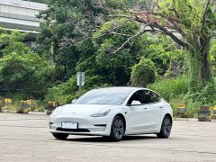 Tesla Model 3 Rear-Wheel Drive - ფოტო 17