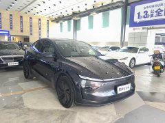 Tesla Model Y Rear-Wheel Drive - ფოტო 3