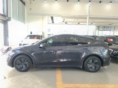 Tesla Model Y Rear-Wheel Drive - ფოტო 7