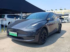 Tesla Model Y Rear-Wheel Drive - ფოტო 1