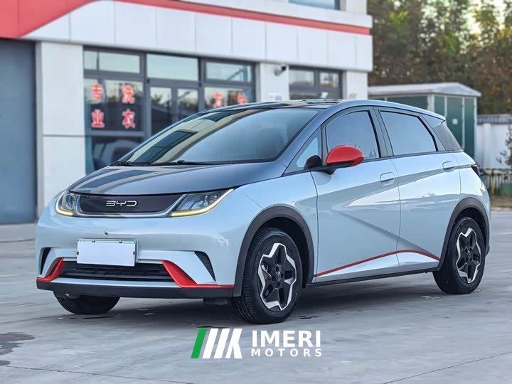 BYD Dolphin 405km Fashion Edition - ავტომობილი ჩინეთიდან