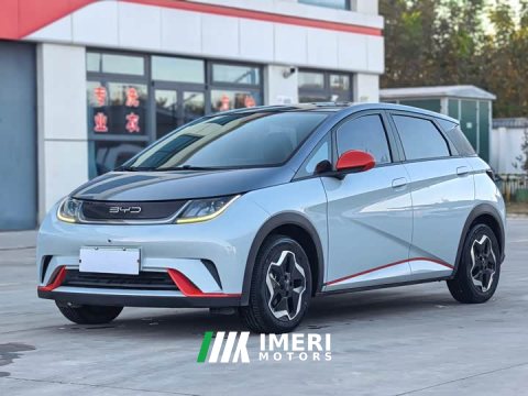 2022 BYD Dolphin 405km Fashion Edition - ავტომობილი ჩინეთიდან