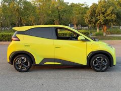 BYD Seagull Glory Edition 305km Freedom Version - ფოტო 12