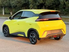 BYD Seagull Glory Edition 305km Freedom Version - ფოტო 13