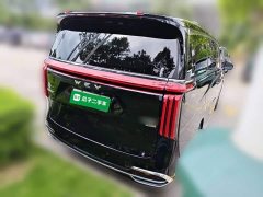 Great Wall WEY Shanshan New Energy Four-Wheel Drive Shanshan 7 - ფოტო 6