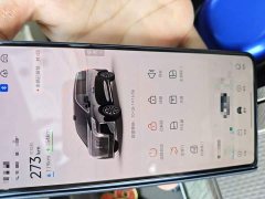 Great Wall WEY Shanshan New Energy Four-Wheel Drive Shanshan 7 - ფოტო 9