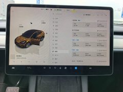 Tesla Model Y Rear-Wheel Drive - ფოტო 11