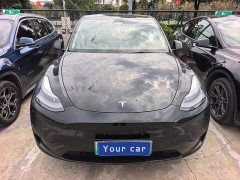 Tesla Model Y Rear-Wheel Drive - ფოტო 2