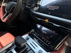 Audi Q6 45 TFSI quattro Black Warrior Edition - ფოტო 6