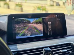 BMW 5 Series 530Li Premier M Sport Package - ფოტო 13