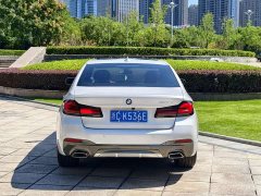 BMW 5 Series 530Li Premier M Sport Package - ფოტო 16