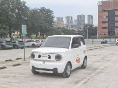 Geely Panda Mini 200km Endurance Edition - ფოტო 1