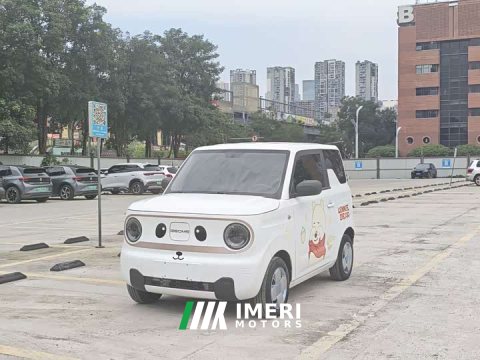 2023 Geely Panda Mini 200km Endurance Edition - ავტომობილი ჩინეთიდან