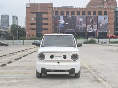 Geely Panda Mini 200km Endurance Edition - ფოტო 2
