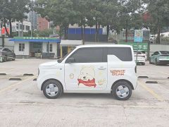 Geely Panda Mini 200km Endurance Edition - ფოტო 3