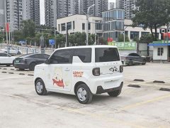 Geely Panda Mini 200km Endurance Edition - ფოტო 4