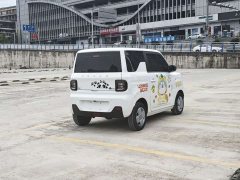 Geely Panda Mini 200km Endurance Edition - ფოტო 6