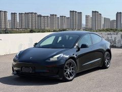 Tesla Model 3 Standard Range RWD Upgrade - ფოტო 1